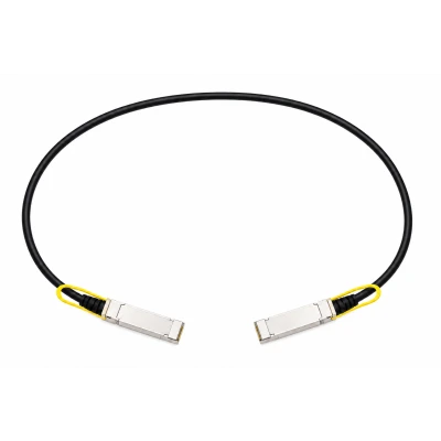 Медный кабель DAC Cisco SFP-H25G-CU2.5M, 25 Гбит/с, заказываемая длина: 2,5 м, интерфейсы готовой сборки: Два SFP28 Медный кабель DAC Cisco SFP-H25G-CU2.5M, 25 Гбит/с, заказываемая длина: 2,5 м, интерфейсы готовой сборки: Два SFP28