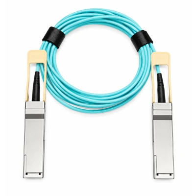 Активный оптический кабель Cisco SFP-25G-AOC1M, номинальная длина: 1 м, скорость соединения: 25 Гбит/с, кабельные окончания: Два SFP28