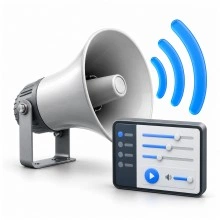 Перейти в категорию Лицензии Paging Server